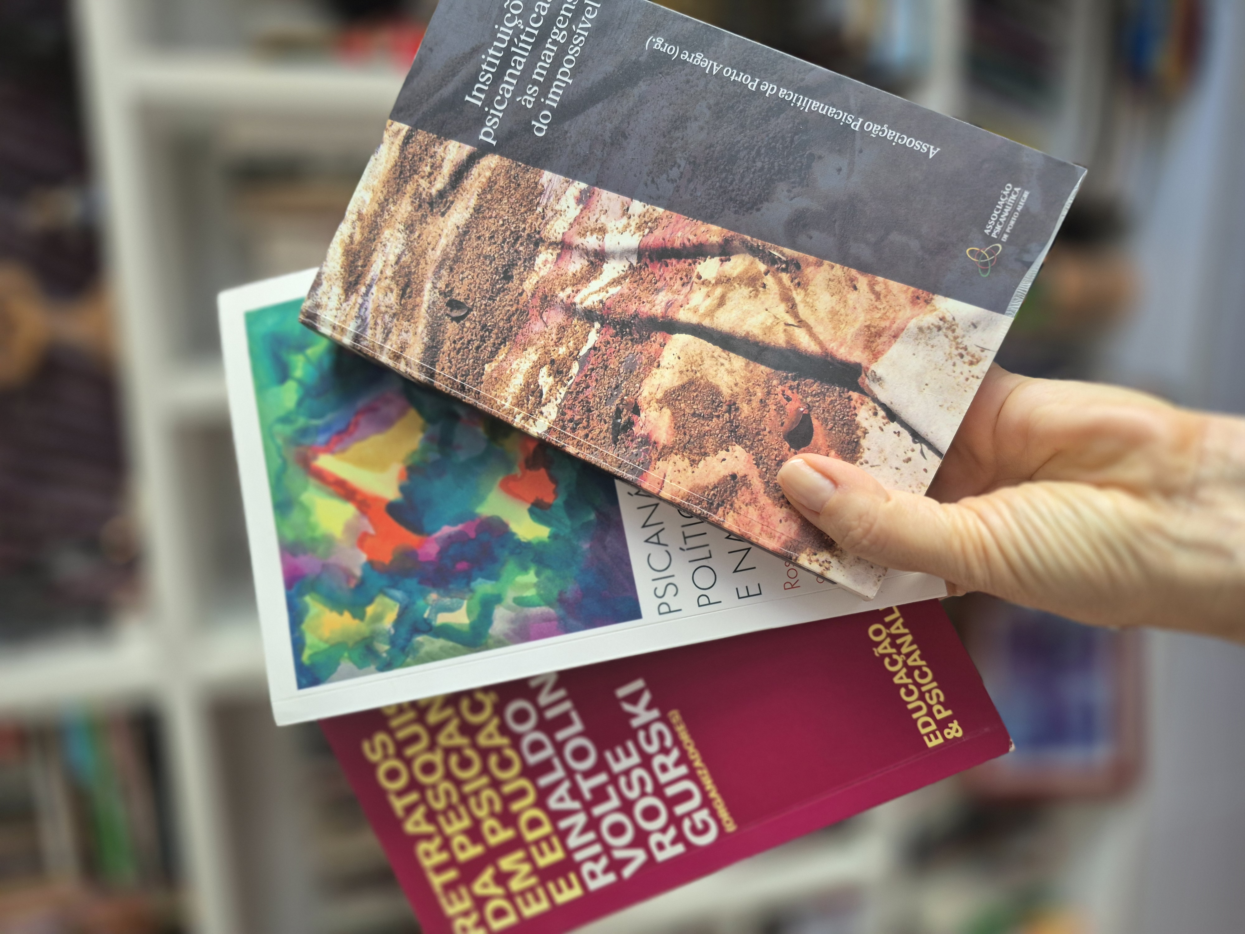 Livros e capítulos publicados por Larissa Costa Beber Scherer